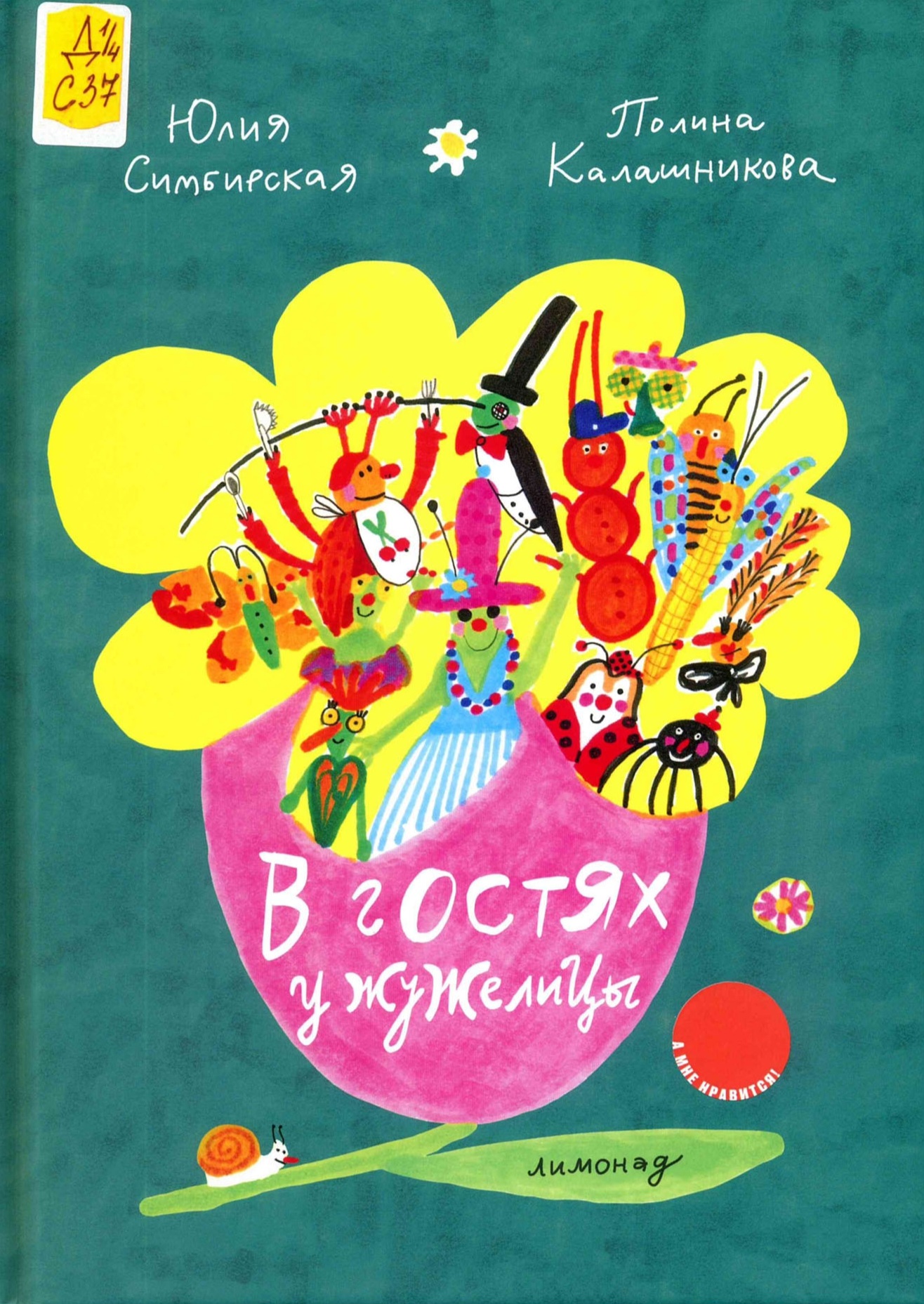 В гостях у жужелицы